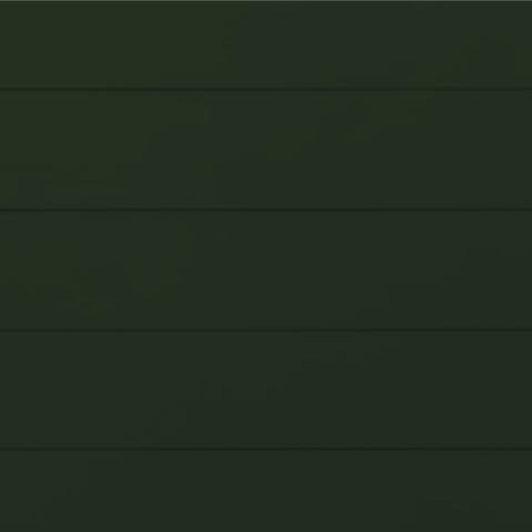 RAL 6007 Smooth Gloss 80% 29-59007-1