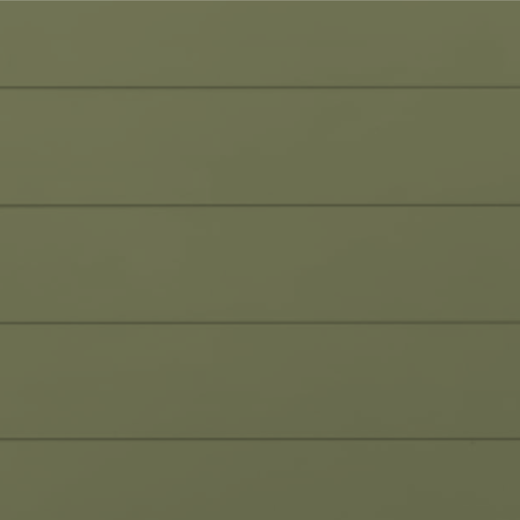 RAL 6013 Smooth Gloss 80% 29-59013-1